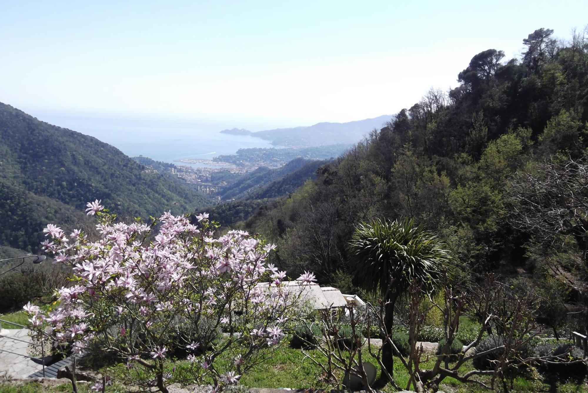 Apartament Vista Portofino Rapallo Zewnętrze zdjęcie