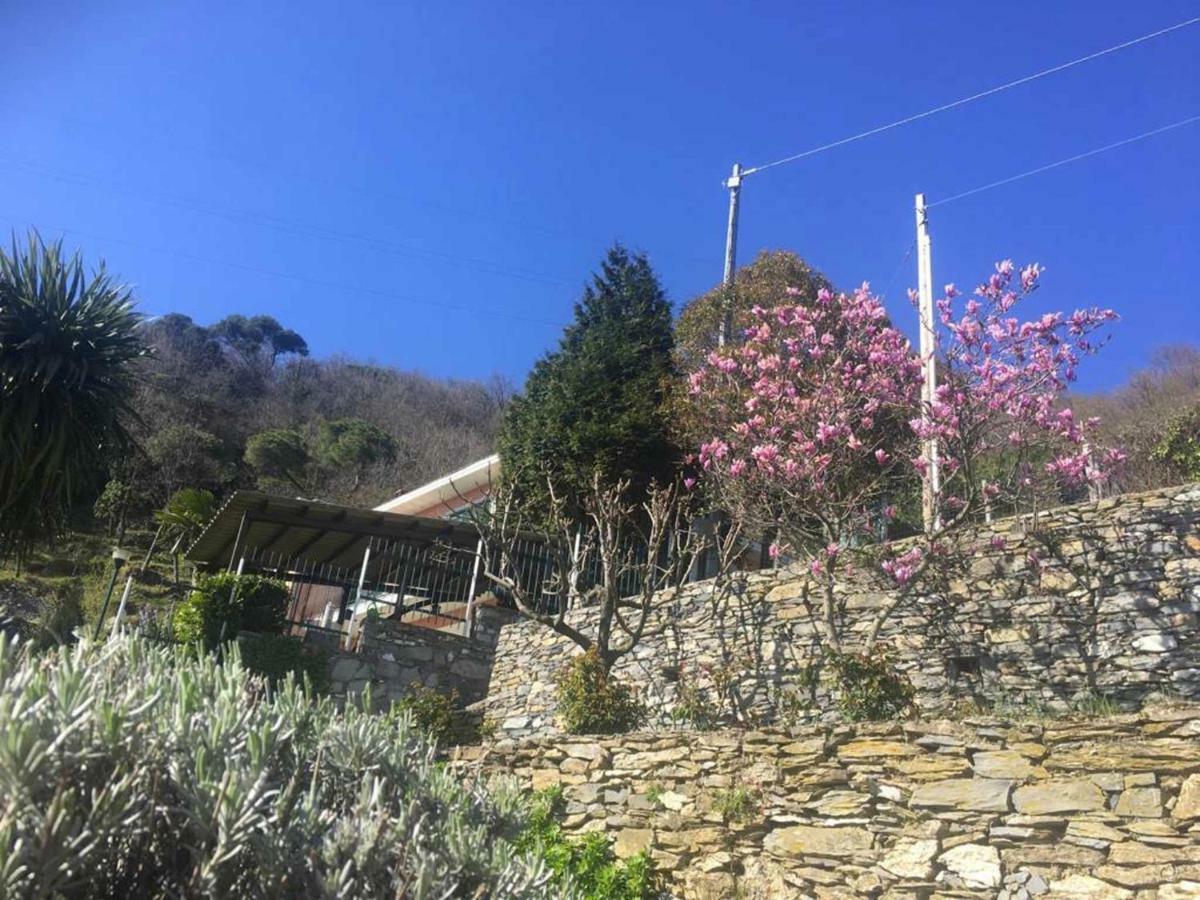 Apartament Vista Portofino Rapallo Zewnętrze zdjęcie