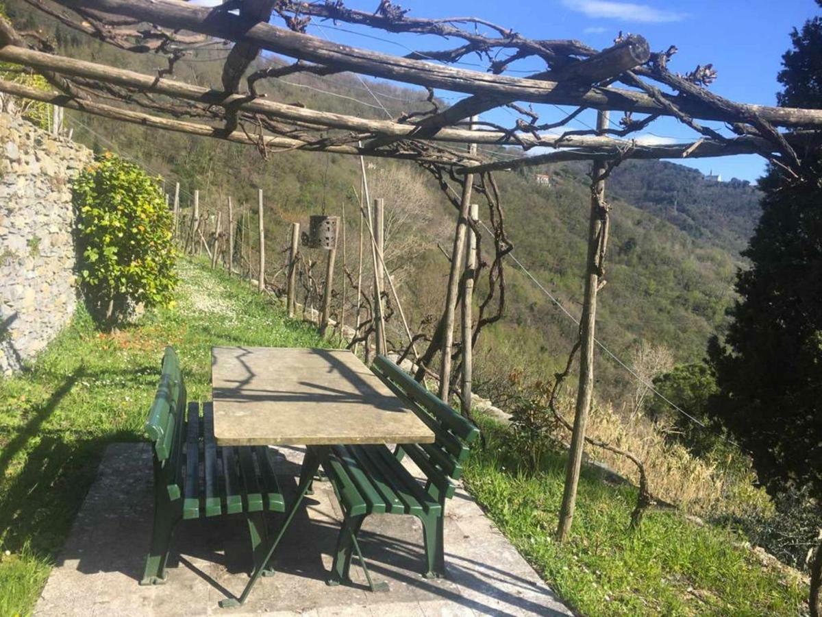 Apartament Vista Portofino Rapallo Zewnętrze zdjęcie